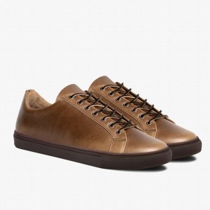 Beige Thursday Boots Premier Men Low-Top Sneakers | MPS3788LK