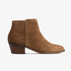 Brown Thursday Boots Downtown Women Booties | USZ496PB