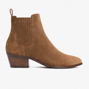 Brown Thursday Boots Dreamer Women Booties | TNI174SQ