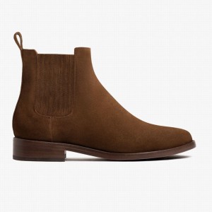 Brown Thursday Boots Dreamer Women Chelsea Boots | SQJ4435ET