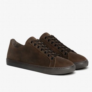 Brown Thursday Boots Premier Men Low-Top Sneakers | SSH3560RA