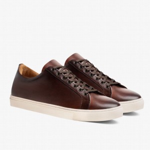 Coffee Thursday Boots Premier Men Low-Top Sneakers | YGS3419UI