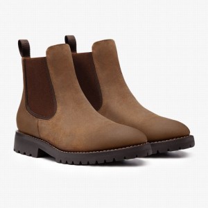 Safari Thursday Boots Legend Men Chelsea Boots | TYS8314QO