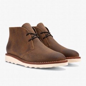 Safari Thursday Boots Scout Men Chukka Boots | TAV4914EG