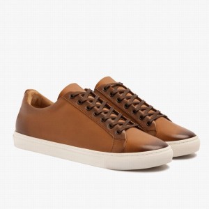 Toffee Thursday Boots Premier Men Low-Top Sneakers | JUX9351VB