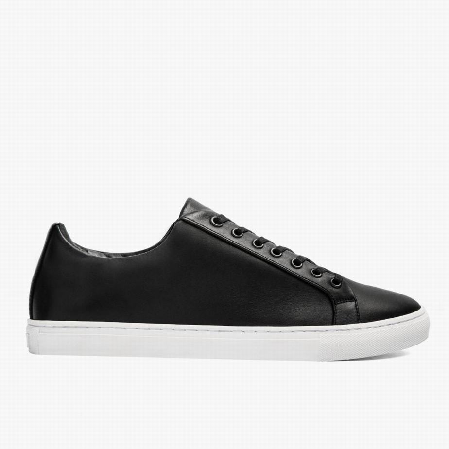 Black Thursday Boots Premier Men Low-Top Sneakers | ALF10047PR