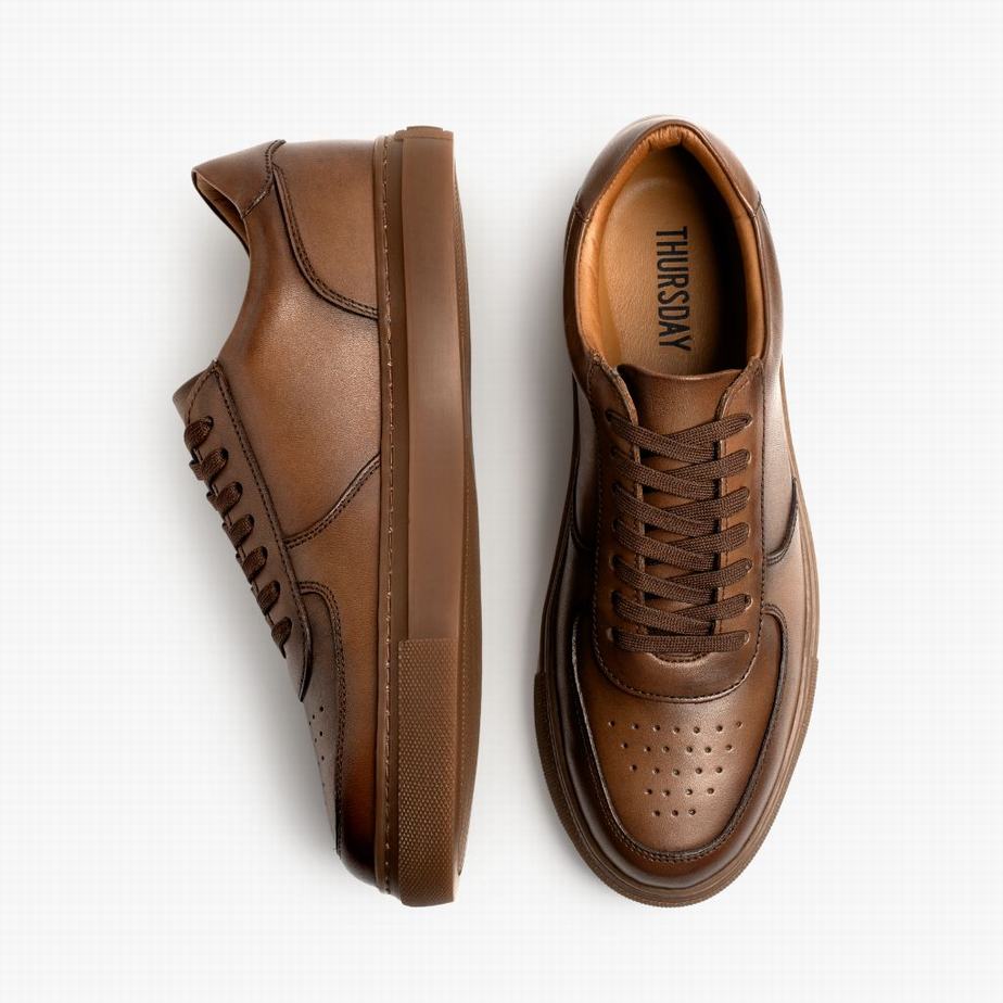 Brown Thursday Boots Court Men Low-Top Sneakers | BTA2985RS