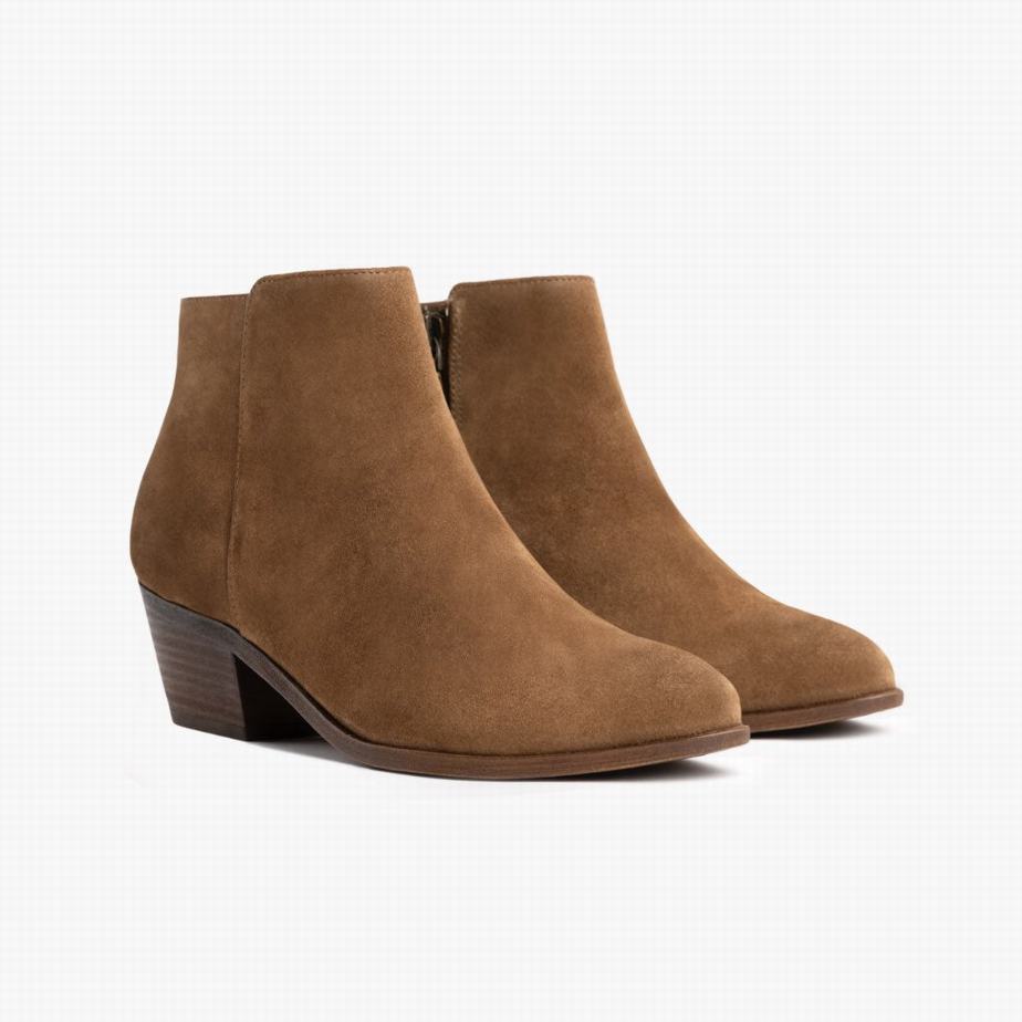 Brown Thursday Boots Downtown Women Booties | USZ496PB