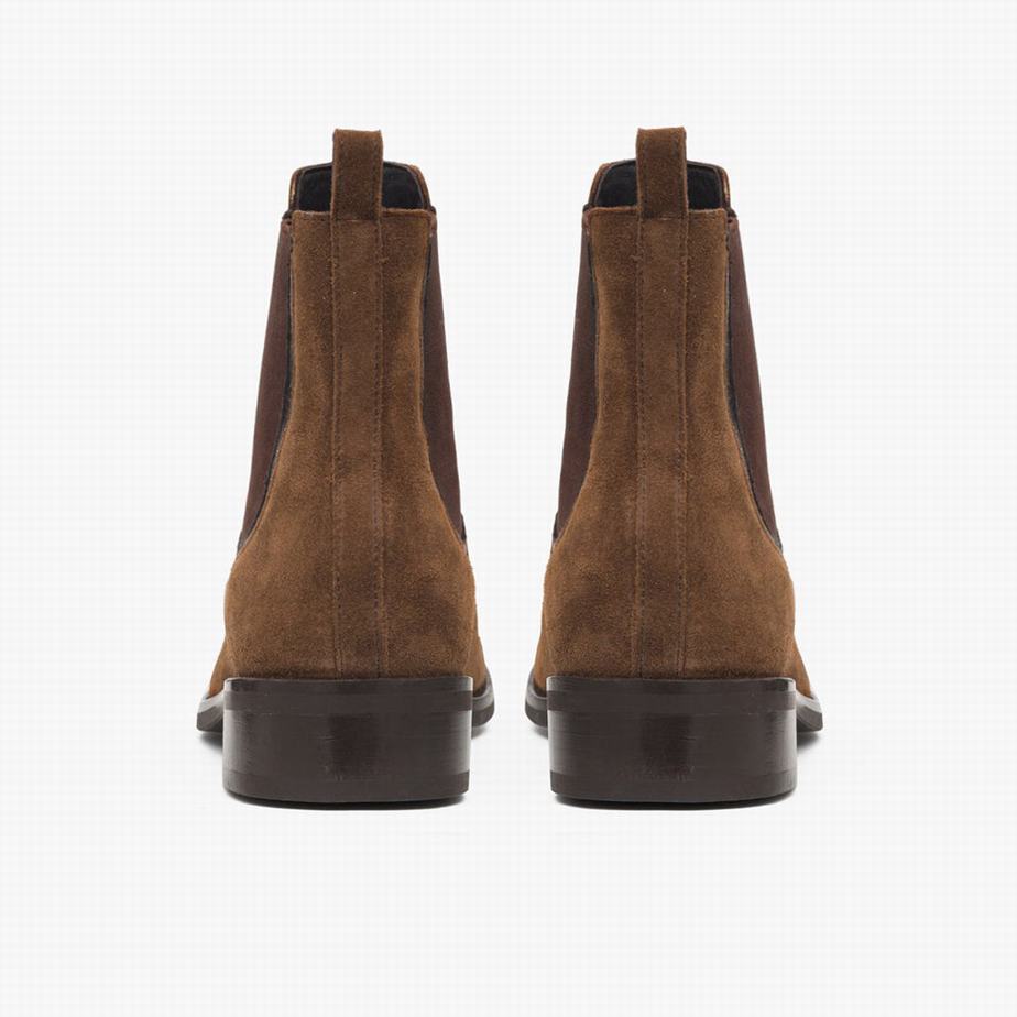 Brown Thursday Boots Duchess Women Chelsea Boots | FAB6998WH