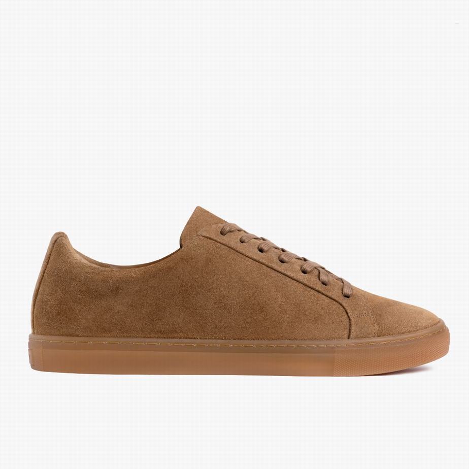 Brown Thursday Boots Premier Men Low-Top Sneakers | FQR7875JZ