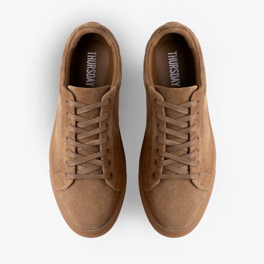 Brown Thursday Boots Premier Men Low-Top Sneakers | FQR7875JZ