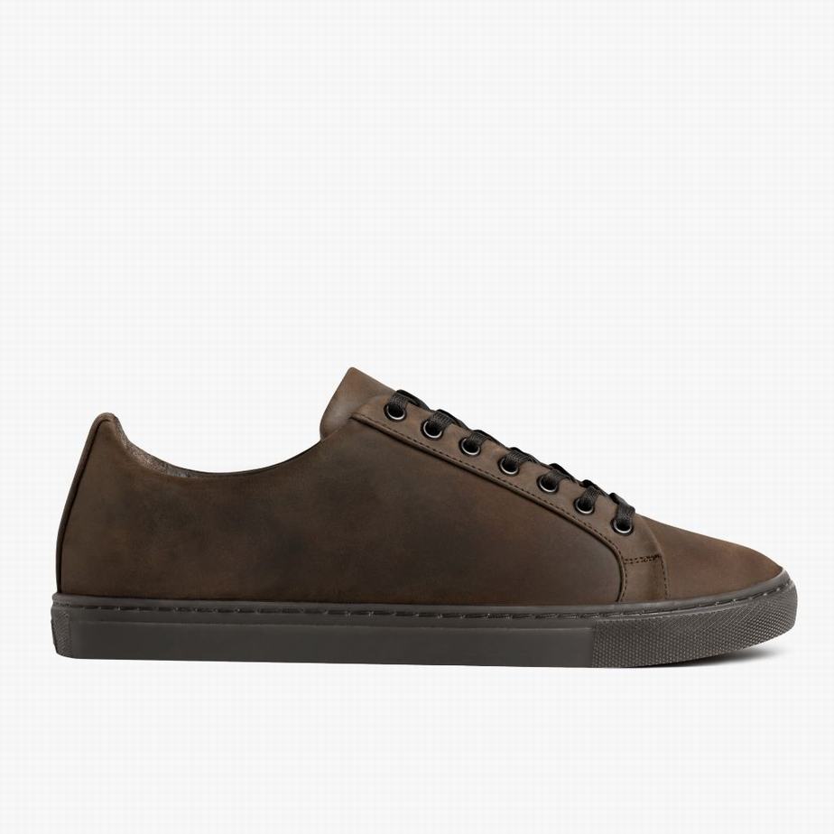 Brown Thursday Boots Premier Men Low-Top Sneakers | SSH3560RA