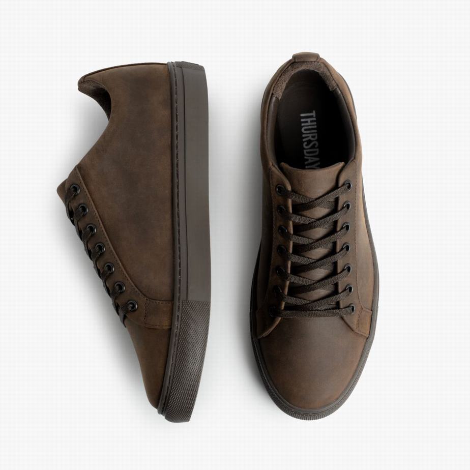 Brown Thursday Boots Premier Men Low-Top Sneakers | SSH3560RA