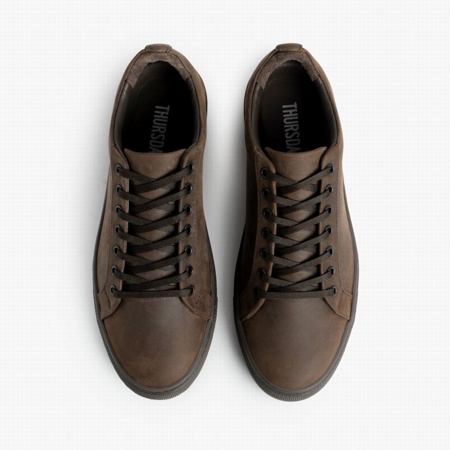 Brown Thursday Boots Premier Men Low-Top Sneakers | SSH3560RA