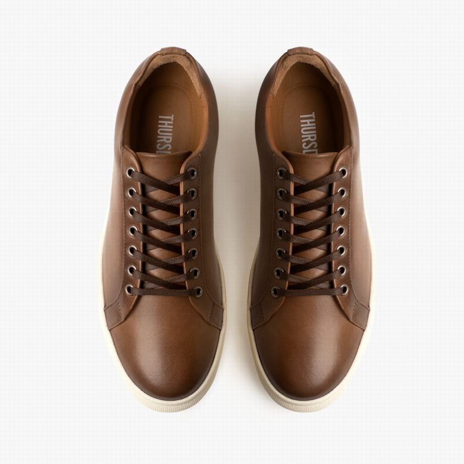 Brown Thursday Boots Premier Women Low-Top Sneakers | HLJ106LT