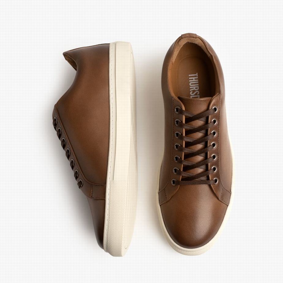 Brown Thursday Boots Premier Women Low-Top Sneakers | HLJ106LT