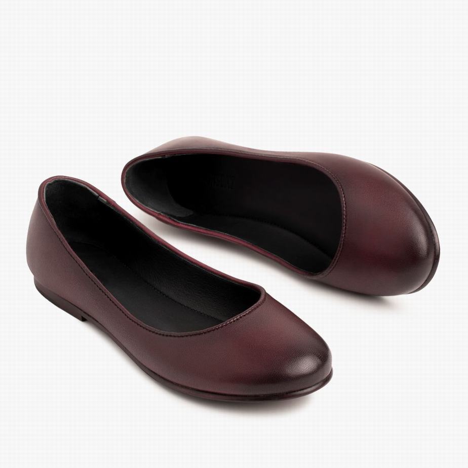 Burgundy Thursday Boots Feliz Women Ballet Flats | LQR7486BQ