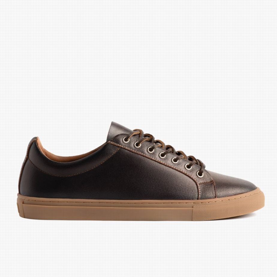 Cacao Thursday Boots Premier Men Low-Top Sneakers | MOB2655KF