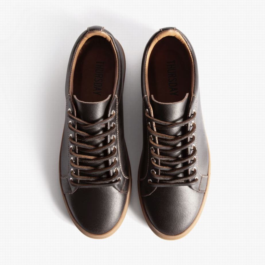 Cacao Thursday Boots Premier Men Low-Top Sneakers | MOB2655KF