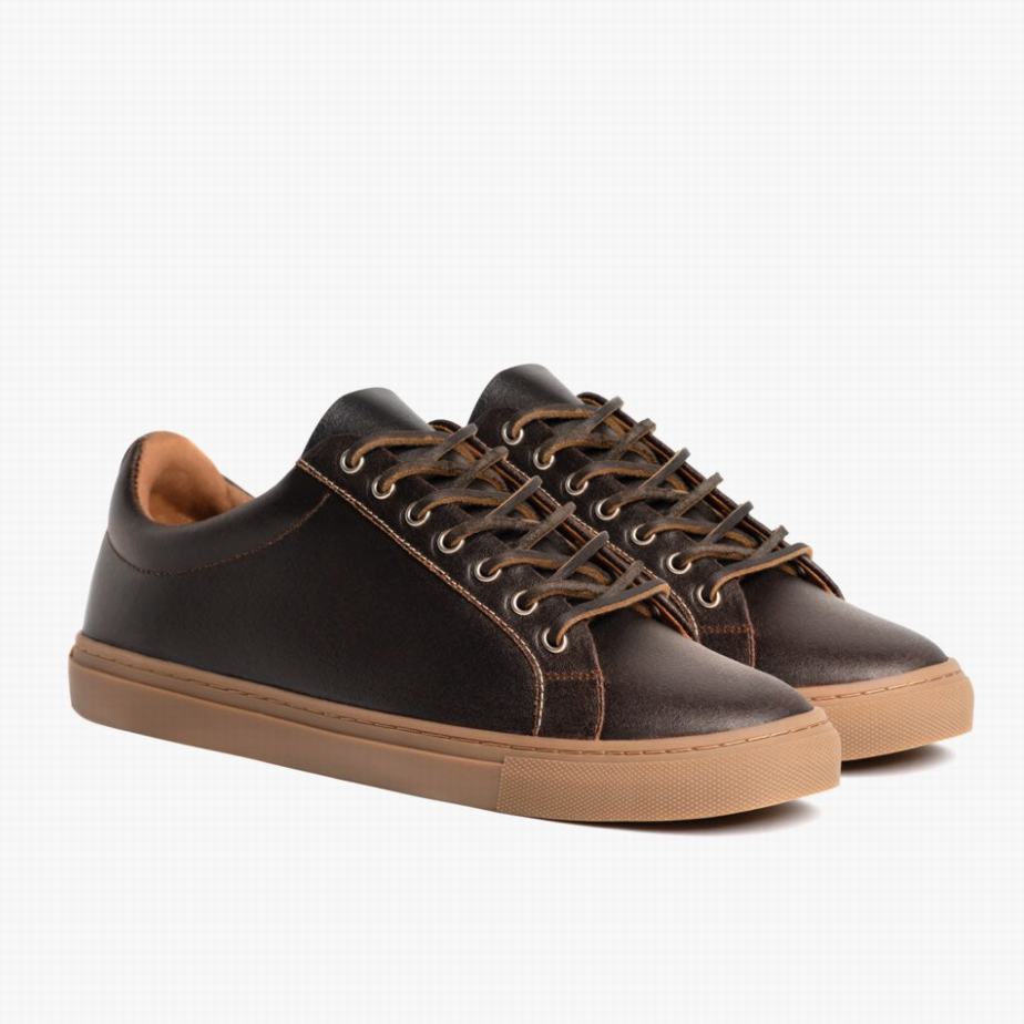 Cacao Thursday Boots Premier Men Low-Top Sneakers | MOB2655KF