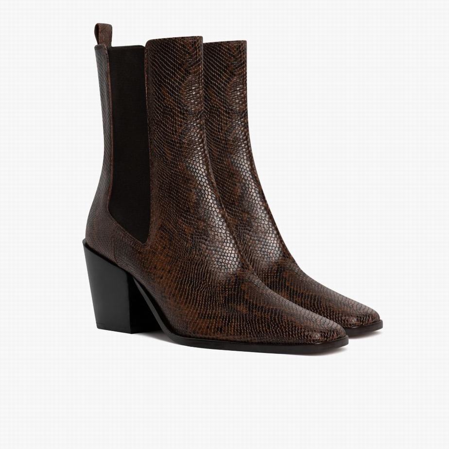 Chocolate Snake Thursday Boots Soho Women Chelsea Boots | XGB5317FU