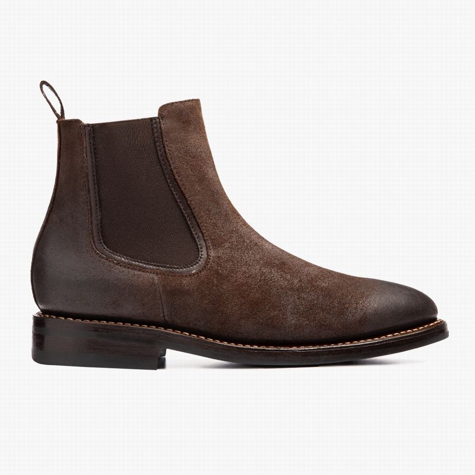 Chocolate Thursday Boots Duke Men Chelsea Boots | NFO1810IK