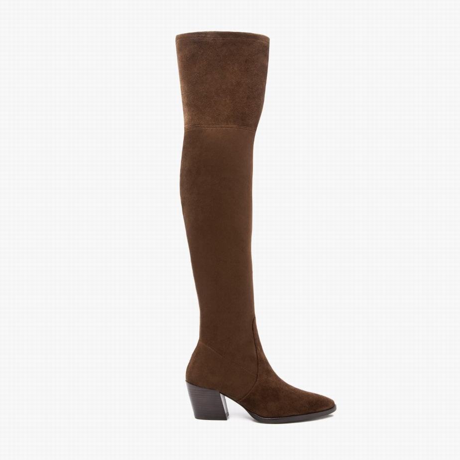 Chocolate Thursday Boots Tempest Women Over-the-knee Boots | NGX999PO