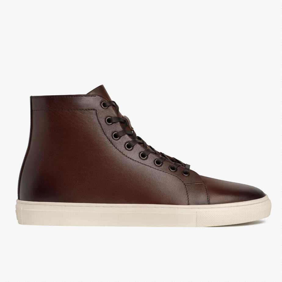 Coffee Thursday Boots Premier Men High-Top Sneakers | ZIV9165SR