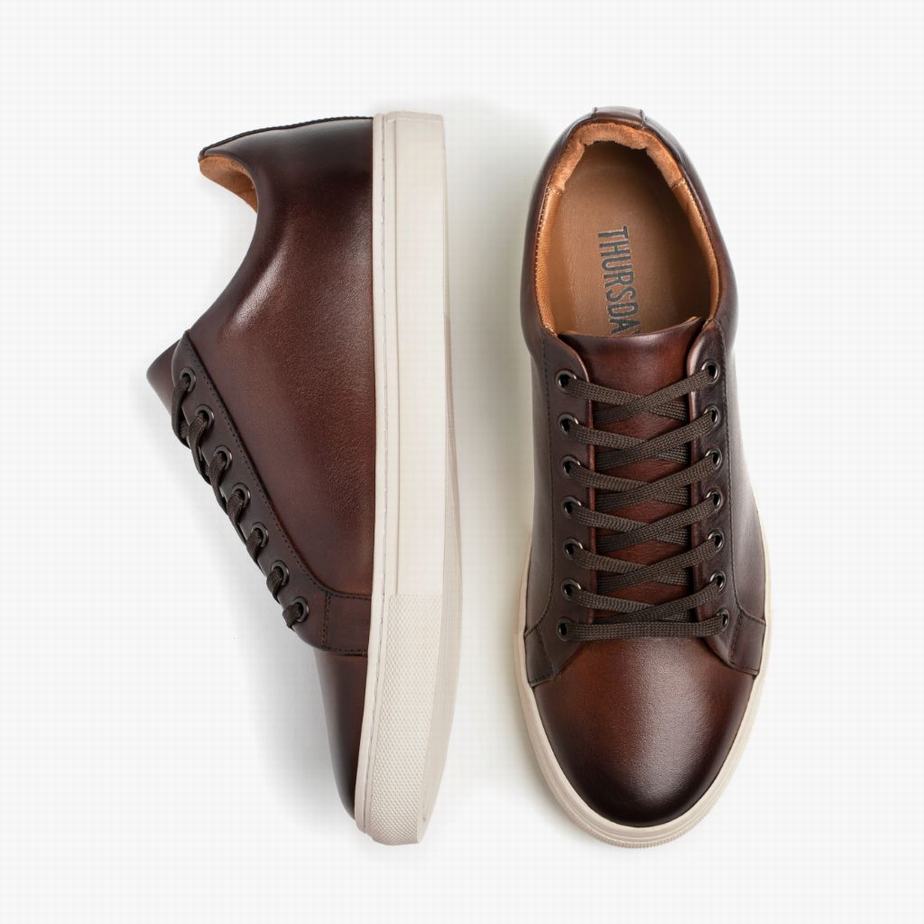 Coffee Thursday Boots Premier Men Low-Top Sneakers | YGS3419UI