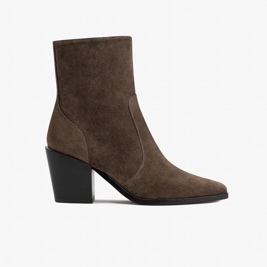 Coffee Thursday Boots Soho Zip Women Booties | FRI3520NH