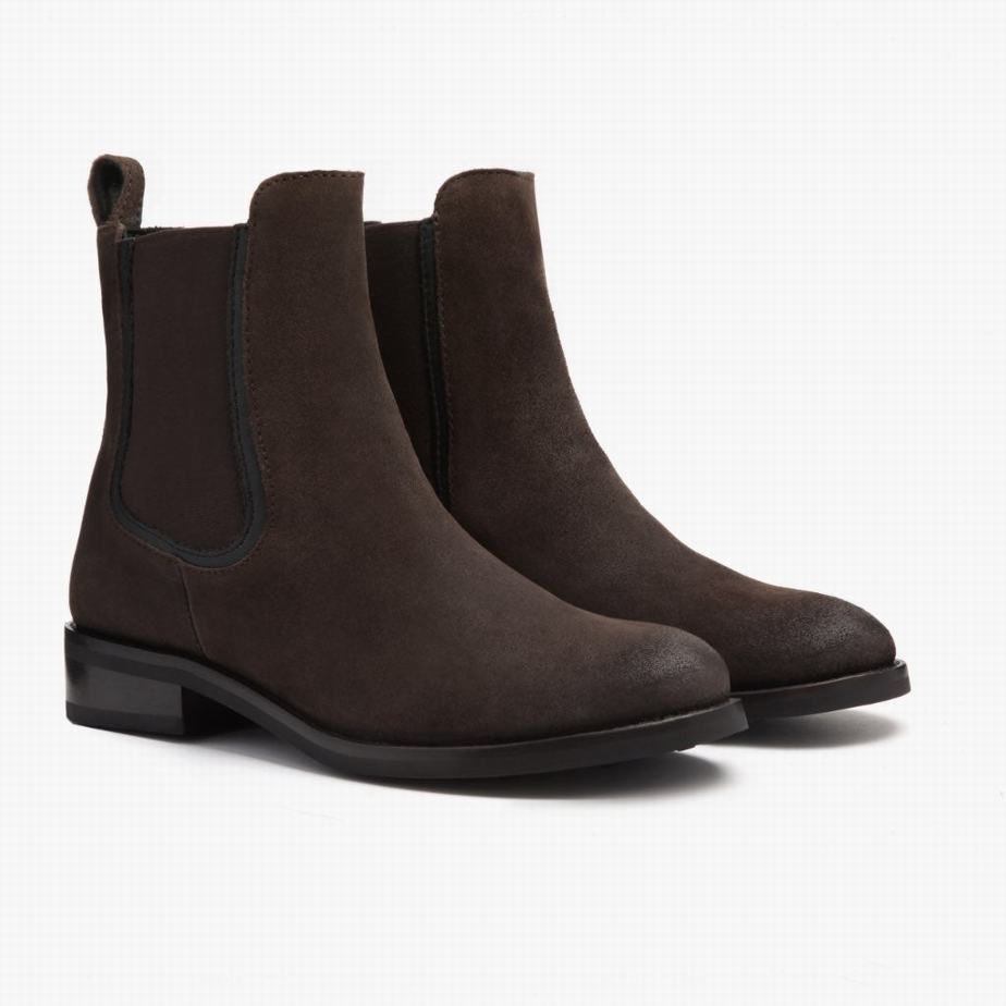 Dark Brown Thursday Boots Duchess Women Chelsea Boots | VNV3783YJ