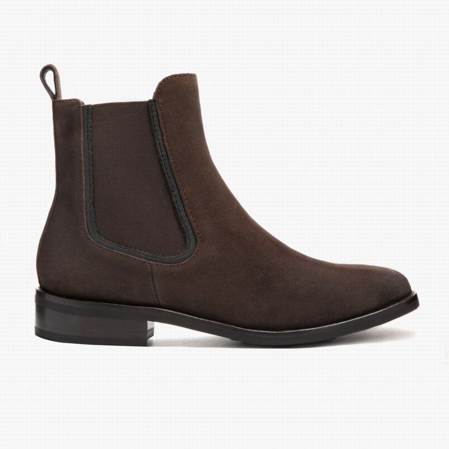 Dark Brown Thursday Boots Duchess Women Chelsea Boots | VNV3783YJ