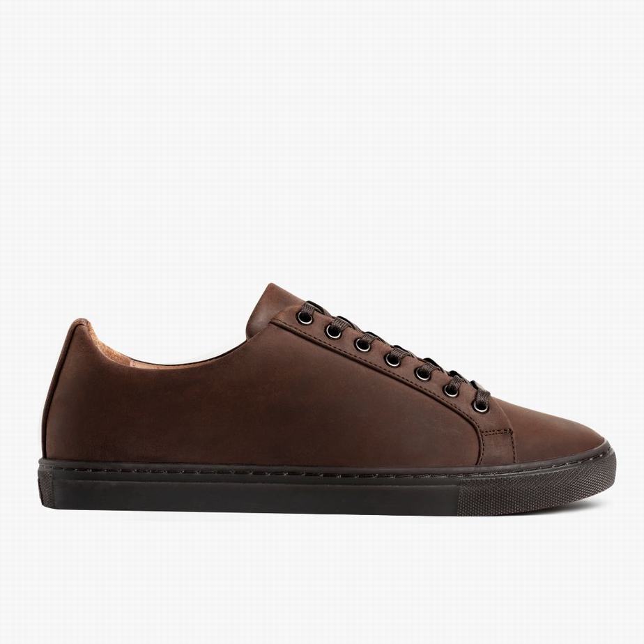 Dark Brown Thursday Boots Premier Men Low-Top Sneakers | ZQK5368RY