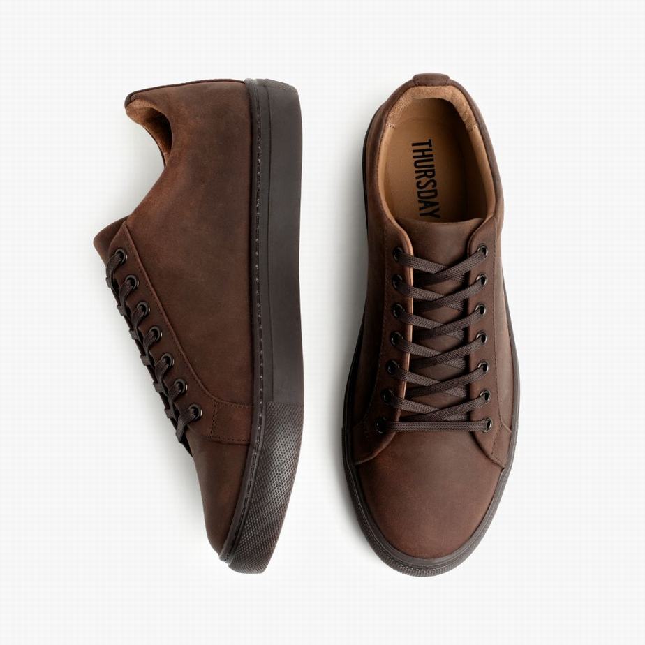 Dark Brown Thursday Boots Premier Men Low-Top Sneakers | ZQK5368RY