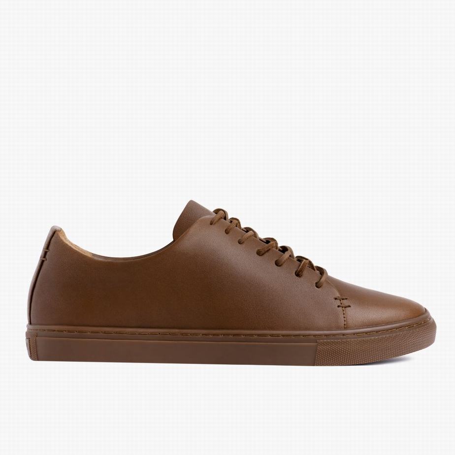 Dark Brown Thursday Boots Premier Men Low-Top Sneakers | EIY3696IP