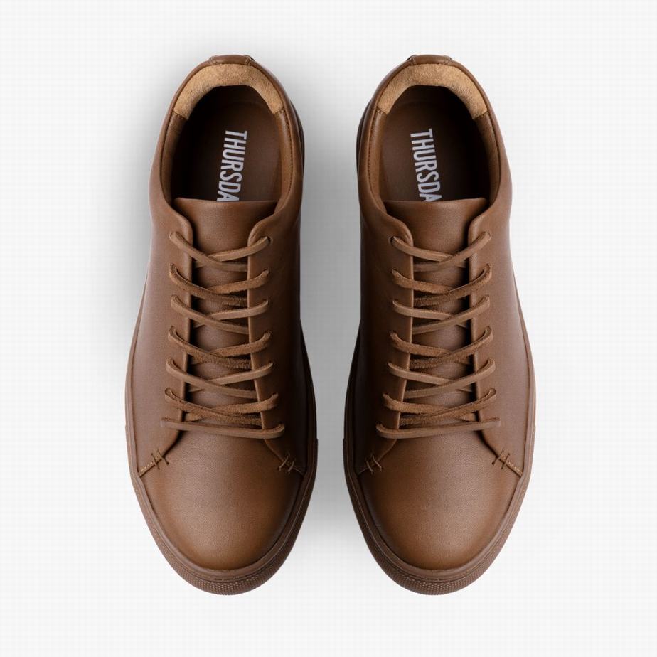 Dark Brown Thursday Boots Premier Men Low-Top Sneakers | EIY3696IP