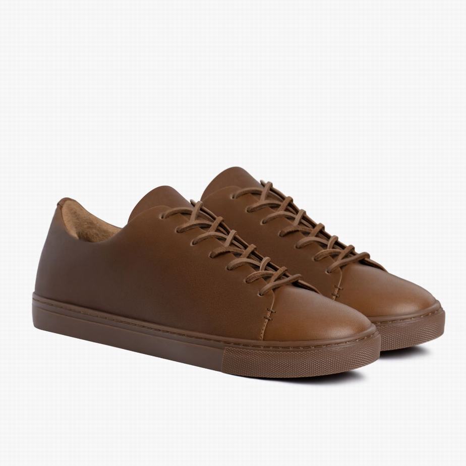 Dark Brown Thursday Boots Premier Men Low-Top Sneakers | EIY3696IP