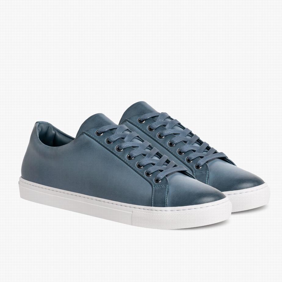 Indigo Thursday Boots Premier Women Low-Top Sneakers | ALV5319PG