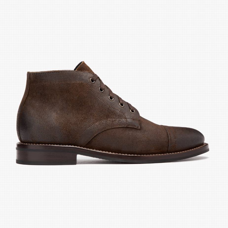 Mocha Thursday Boots Cadet Men Chukka Boots | PEE4144GX