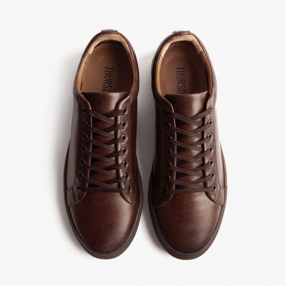 Old English Thursday Boots Premier Men Low-Top Sneakers | XBI5955AR