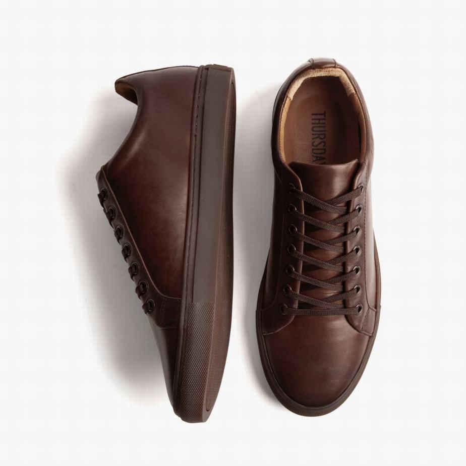 Old English Thursday Boots Premier Men Low-Top Sneakers | XBI5955AR