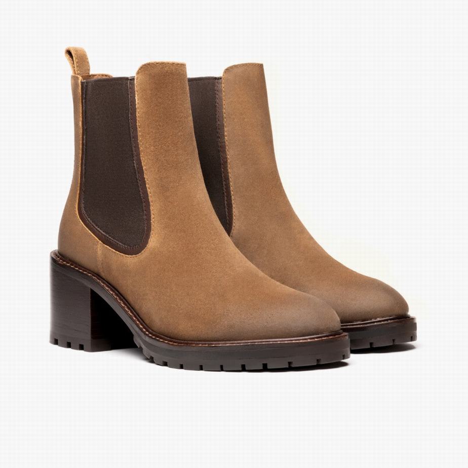 Safari Thursday Boots Knockout Women Chelsea Boots | CZL3443FU