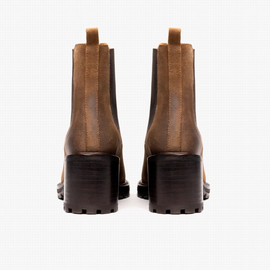 Safari Thursday Boots Knockout Women Chelsea Boots | CZL3443FU