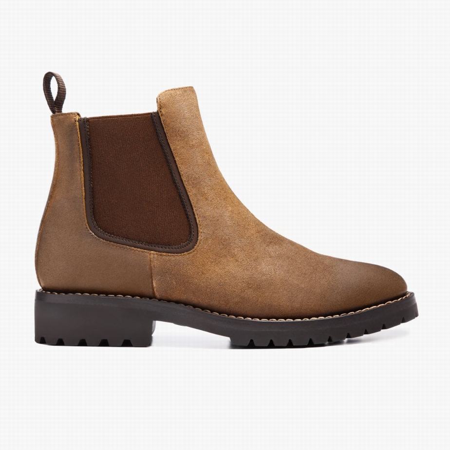 Safari Thursday Boots Legend Men Chelsea Boots | TYS8314QO