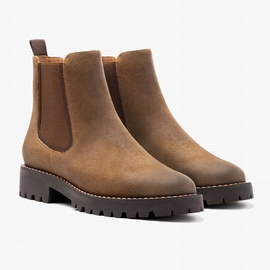 Safari Thursday Boots Legend Women Chelsea Boots | MUQ5723UU