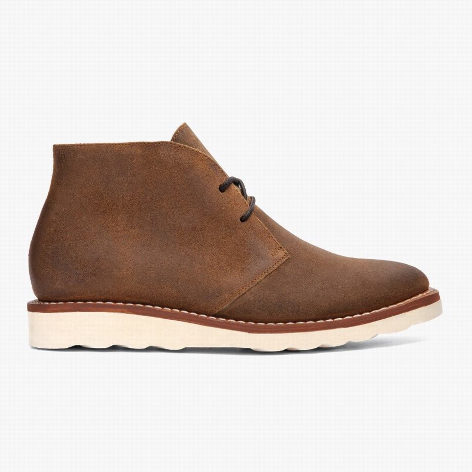 Safari Thursday Boots Scout Men Chukka Boots | TAV4914EG