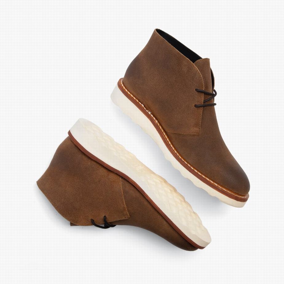 Safari Thursday Boots Scout Men Chukka Boots | TAV4914EG