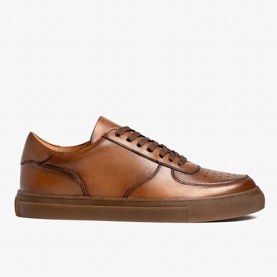 Toffee Thursday Boots Court Men Low-Top Sneakers | HKN2745HW