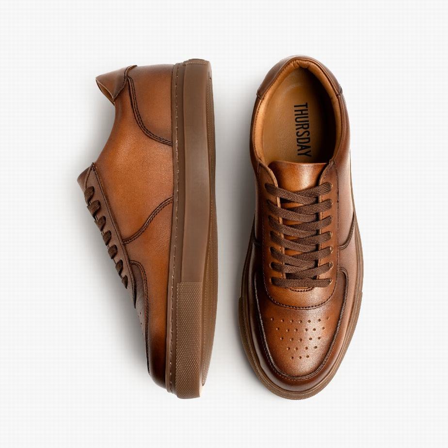 Toffee Thursday Boots Court Men Low-Top Sneakers | HKN2745HW