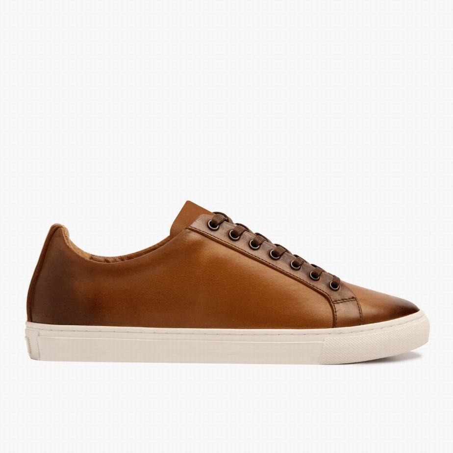 Toffee Thursday Boots Premier Men Low-Top Sneakers | JUX9351VB